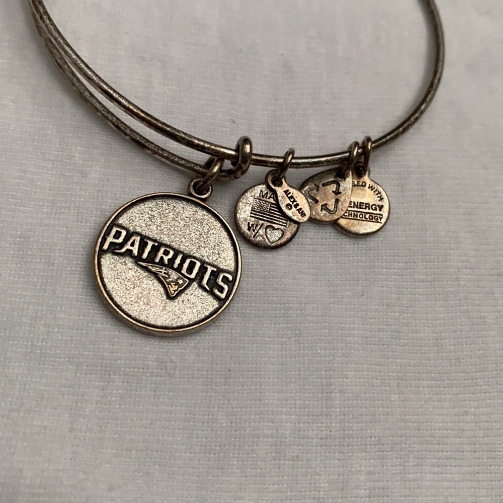 •ALEX & ANI•Silver Patriots Bangle Bracelet - Picture 3 of 4